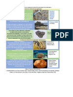 Ilustraciones de los organismos Autotrofos generadores de carbonatos..pdf