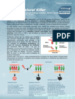 9.3. Natural Killer cells (Células natural killer).pdf