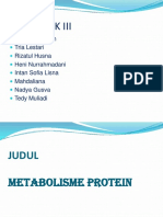 P.P Metabolisme Protein