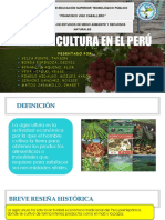 La Agricultura en El Perú PPT Listo