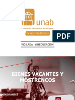 Bienes Vacantes y Mostrencos