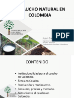 1 - El Caucho Natural en Colombia