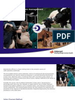 Practical Guide to Bovine Reproduction Tcm95-44851 2