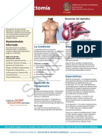 apendectomia.pdf
