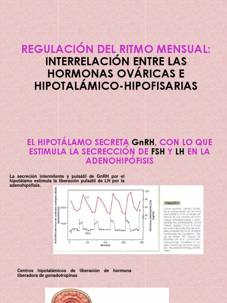 Regulación Hormonal del Ciclo Menstrual | PDF