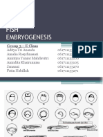 Group 3 - Fish Embryogenesis