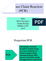 1 PCR IndO 015