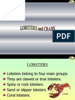 Lobsters Crabs