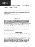 Phenotypic Sheep Breeds of Balochistan