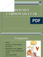 Curs Sistemul Cardiovascular