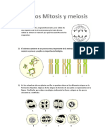 respuestas mitosis meiosis1.docx