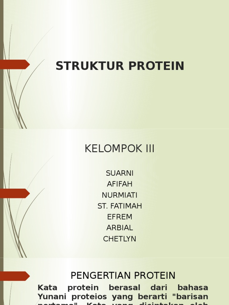 Struktur Protein dan Fungsinya | PDF | Sains & Matematika