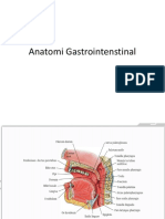 Anatomi Gastrointenstinal