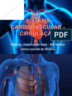 Sistema Cardiovascular - Circulação