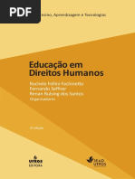 LIVRO DIREITO HUMANOS COM MEU RESUMO.pdf