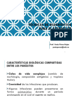 DIAGNÓSTICO_DE_ENFERMEDADES_TROPICALES_YGPR.pdf