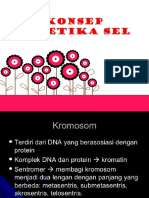 2018 IDK I Genetika Sel.pptx