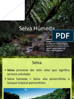 Selva 4 PDF