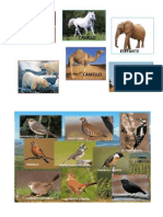 animales mamiferos FLORA y fauna.docx