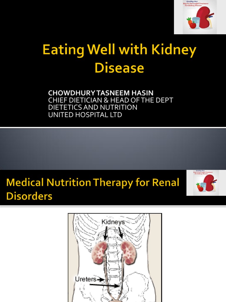 Kidney Health & Nutrition Guide | PDF | Renal Function | Chronic Kidney ...