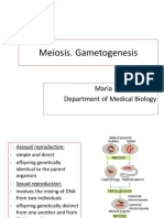 Meiosis. Gametogenesis: Maria Kazakova, PHD Department of Medical Biology