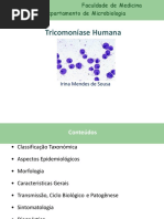 Aula Tricomoniase 2019