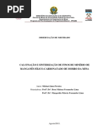 DISSERTAÇÃO_CalcinaçãoSinterizaçãoFinos.pdf