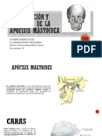 Clasificación y Anatomía de La Apófisis Mastoidea