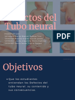 Defectos Del Tubo Neural 