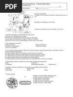 Avaliações 4 º bimestre - ciências e biologia.docx