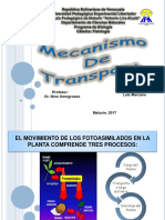 Mecanismo de Transporte2017