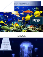 Sea Animals PDF