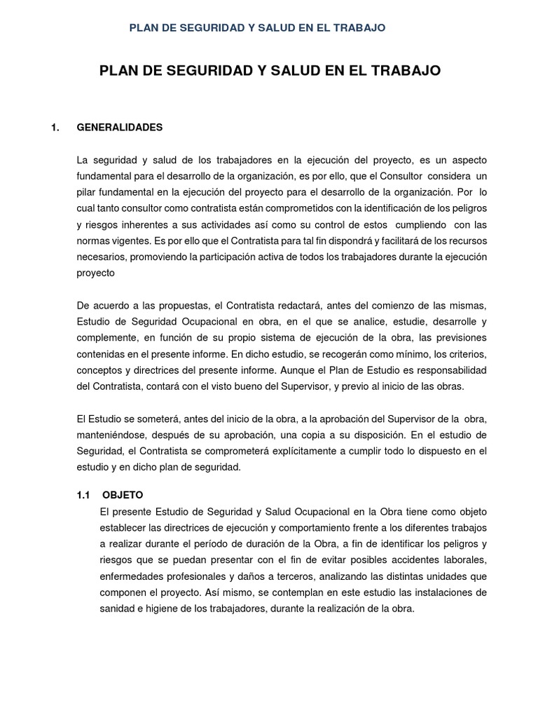Plan de Seguridad y Salud Laboral | PDF | Seguridad | Planificación