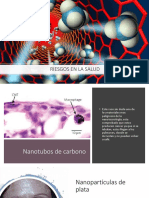 Riesgos de La Nanotecnología - SCRIBD