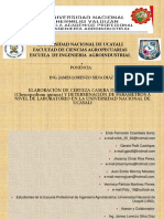 ELABORACIÓN DE CERVEZA CASERA DE QUINUA (Chenopodium quinoa) Y DETERMINACIÓN DE PARÁMETROS A NIVEL DE LABORATORIO EN LA UNIVERSIDAD NACIONAL DE UCAYALI