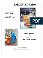 SISTEMAS INTEGRADOS DE GESTION AMBIENTAL Y SALUD.pdf