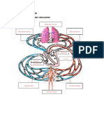 Systemic and Pulmonary Circulation PDF