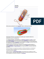 Célula procariota: estructura y tipos