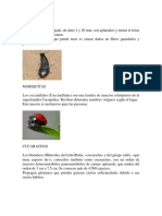 20 bichos e insectos y que enfermedad producen.docx