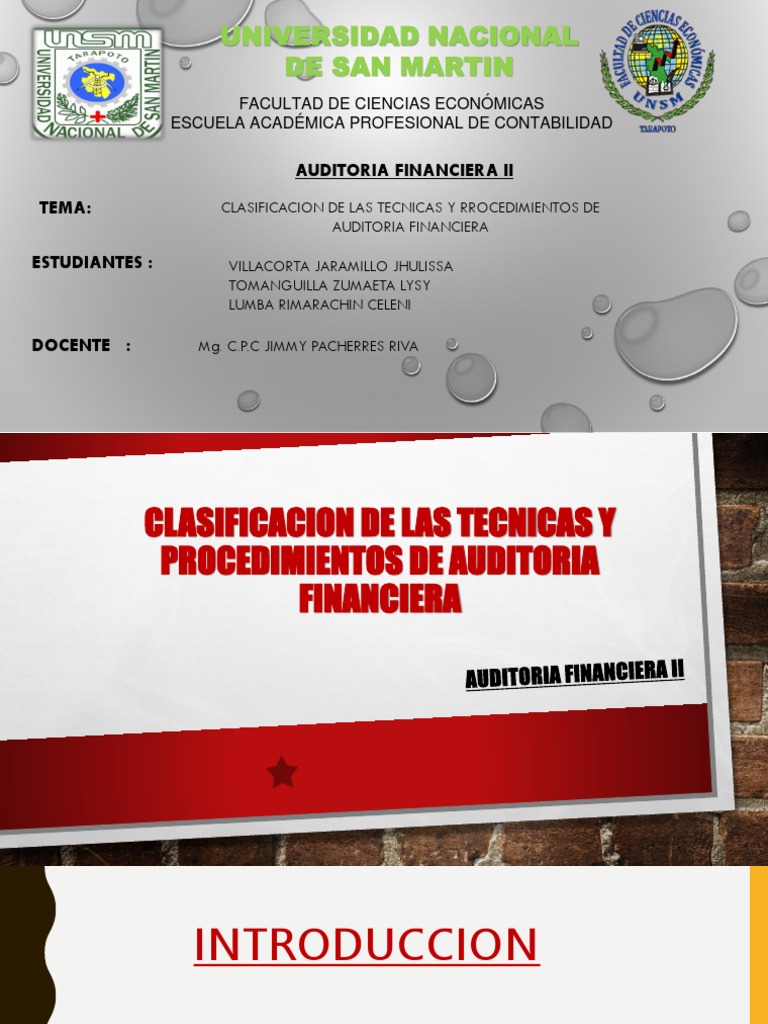 Procedimientos Y Tecnicas De Auditoria Pdf Auditoría Financiera
