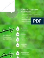 PPT Kangkung