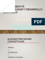 DESARROLLO SOSTENIBLE.pdf