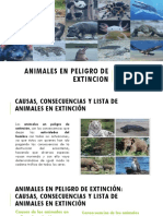 ANIMALES EN PELIGRO DE EXTINCION.pptx