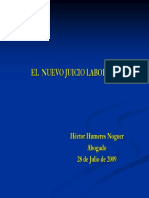 JUICIO_LABORAL_2009.pdf