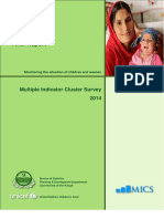 Pakistan (Punjab) 2014 MICS - English PDF