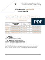 Formato Presentación de Pre Informes- 100416.doc