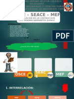 Diapositivas Grupo 1 Osce-Seace-Mef