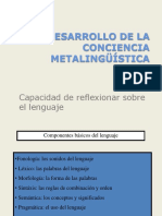 PDF CONCIENCIA Metalingstica