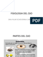 Fisiologia Del Ojo: Dra Pilar Echeverria Carrillo