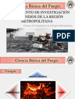 Ciencia Basica Del Fuego PDF